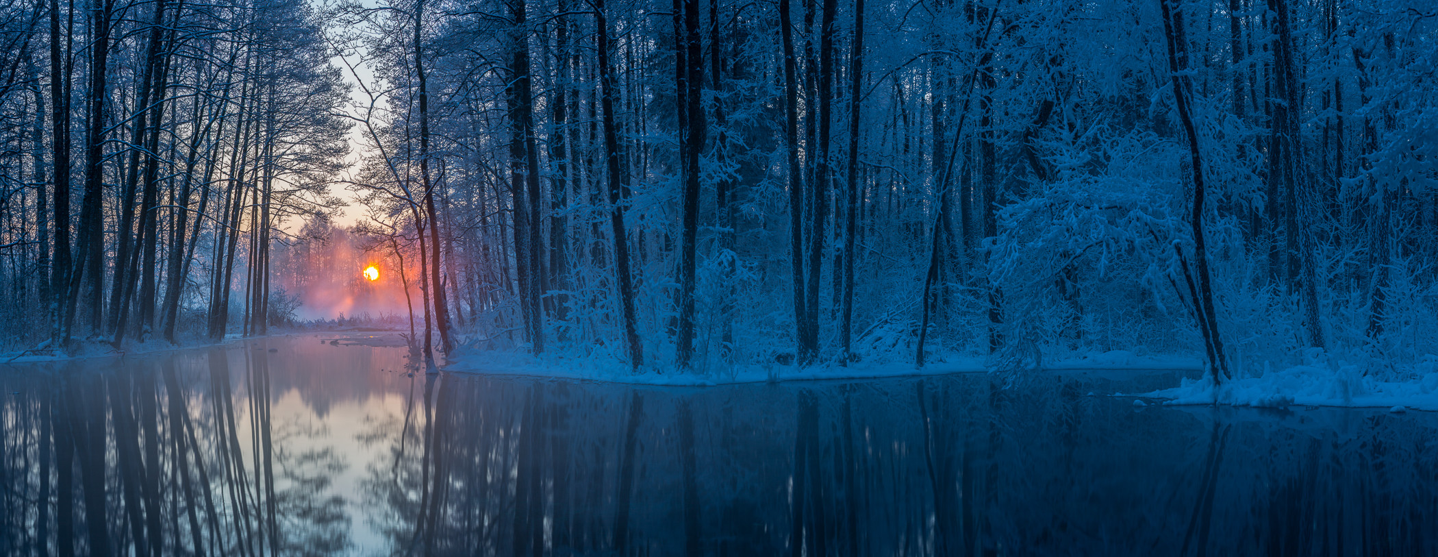 eesti Banner